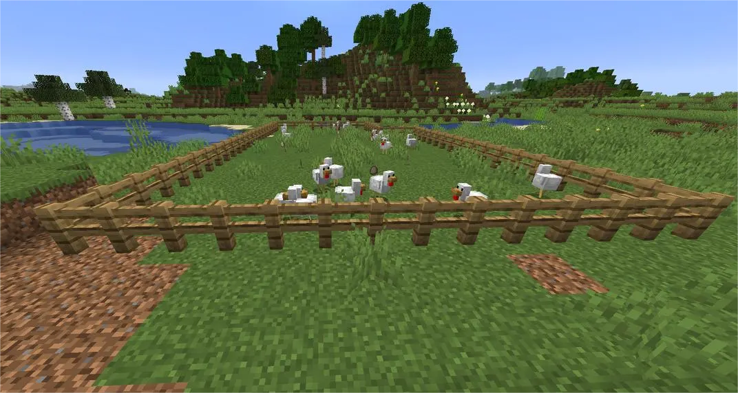 Minecraft player viewing a small chicken enclosure with multiple chickens and eggs on the ground, simple automatic farm setup visible