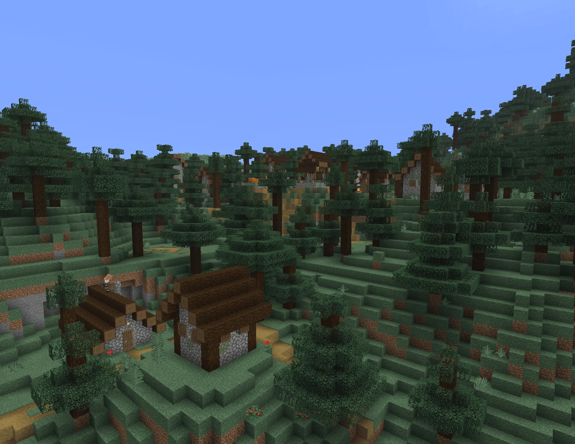 Taiga village in Minecraft surrounded by dense spruce forest with houses spread across uneven terrain