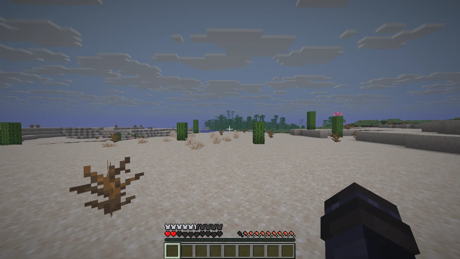 Minecraft player struggling in desert biome with no trees, food, or water sources