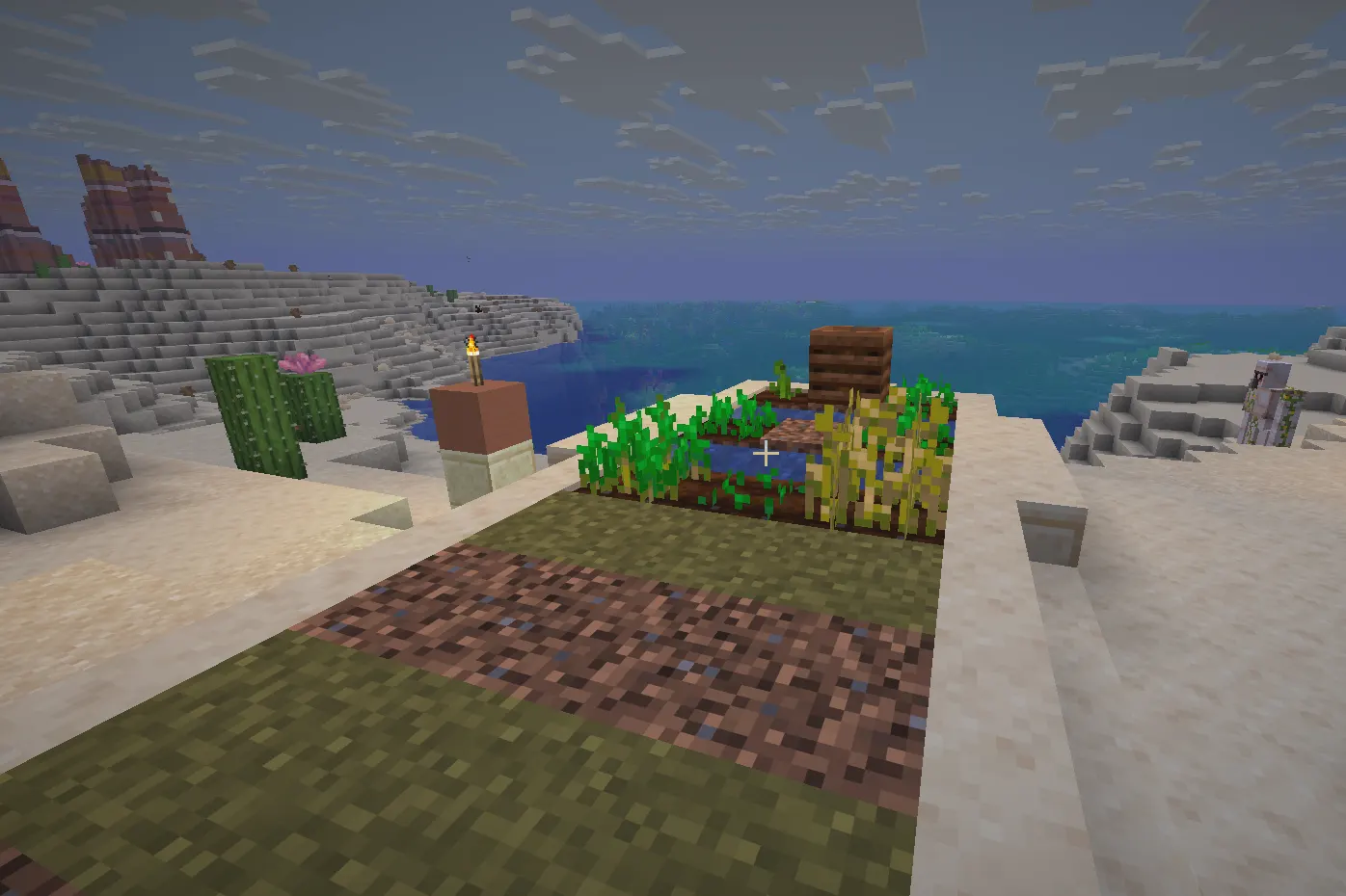 Minecraft desert well used as a water source for farming crops in the desert biome