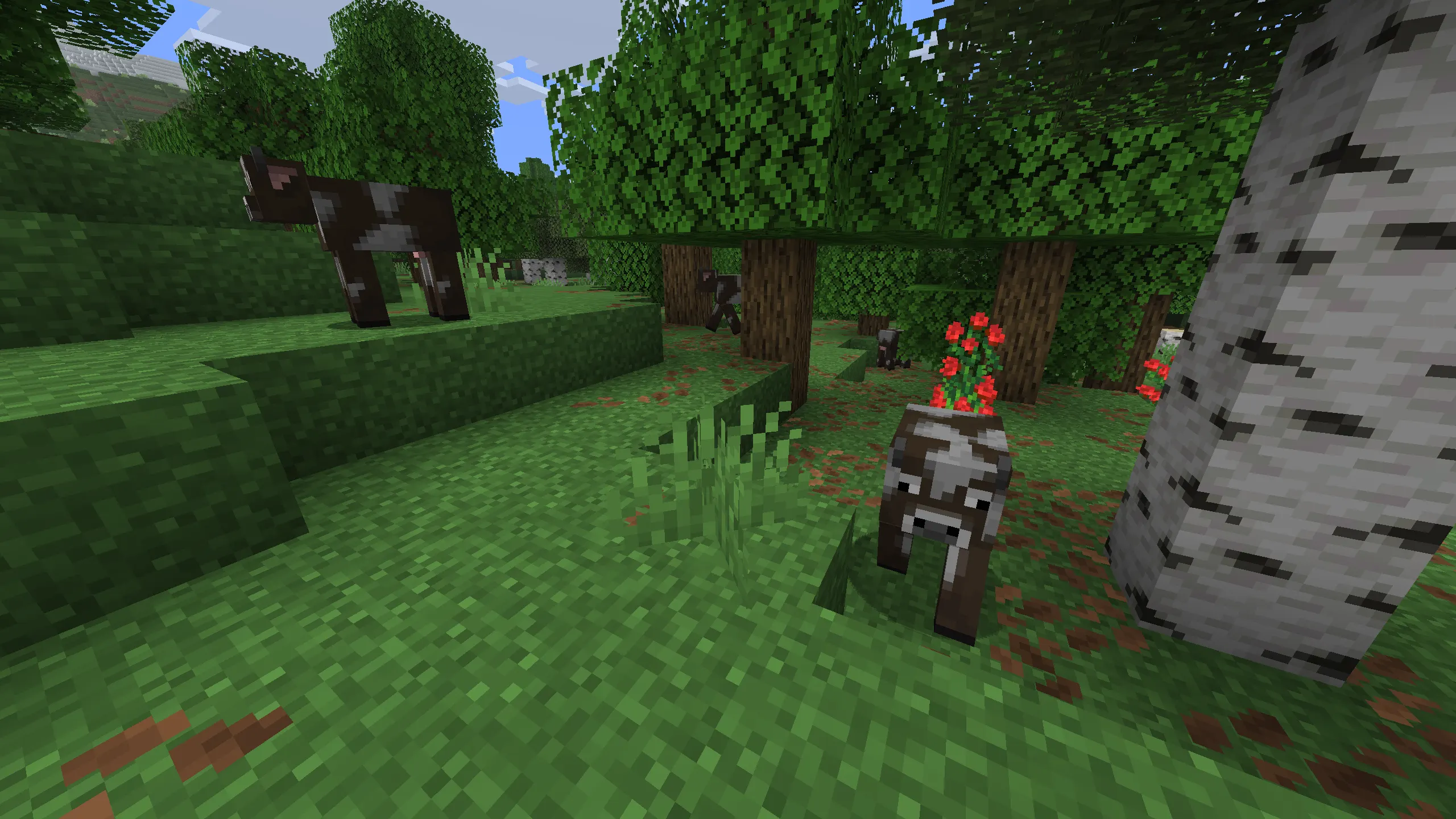 minecraft forest animals cow sheep pig chicken together