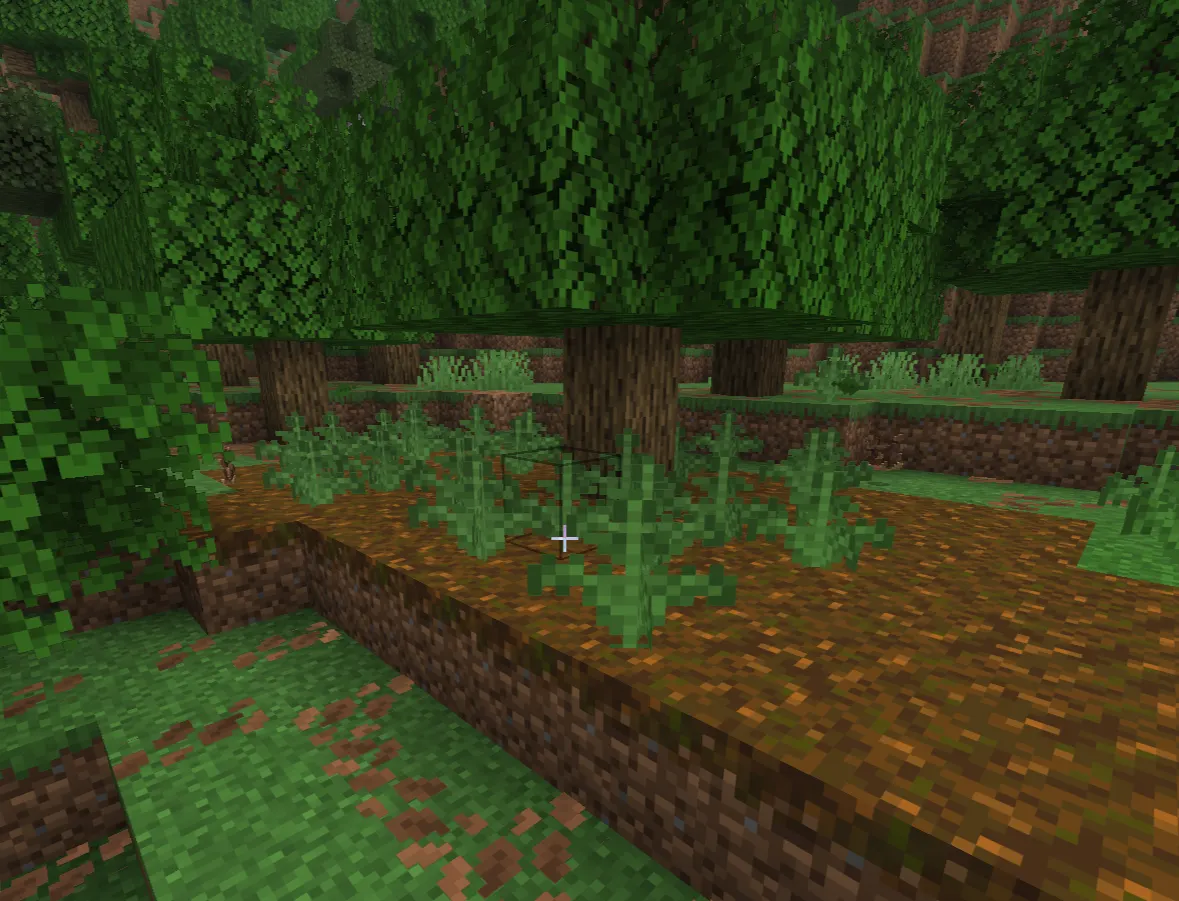  Old-growth taiga biome in Minecraft with giant spruce trees and podzol ground