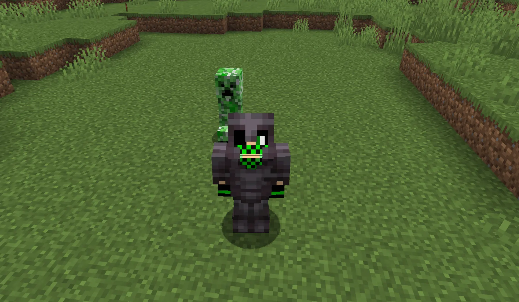 creeper backside of the player