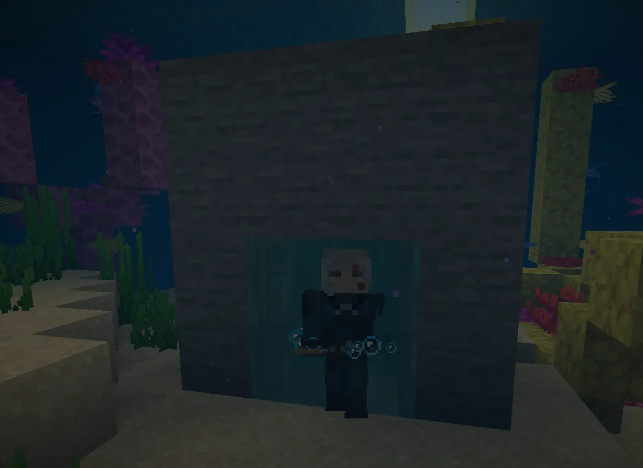 Underwater air pocket using a door in Minecraft