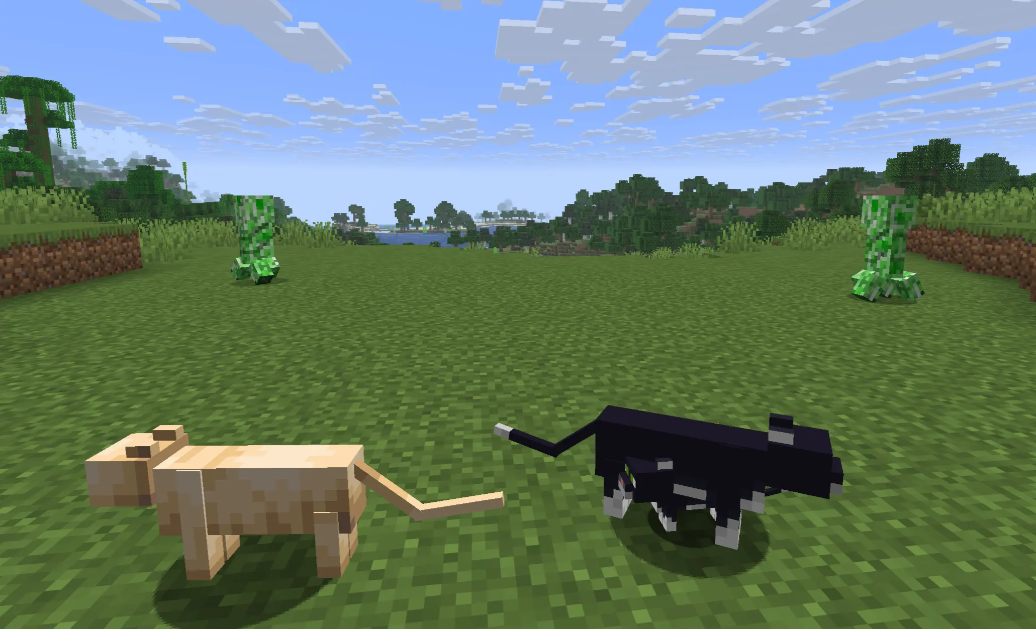 creeper running from cats