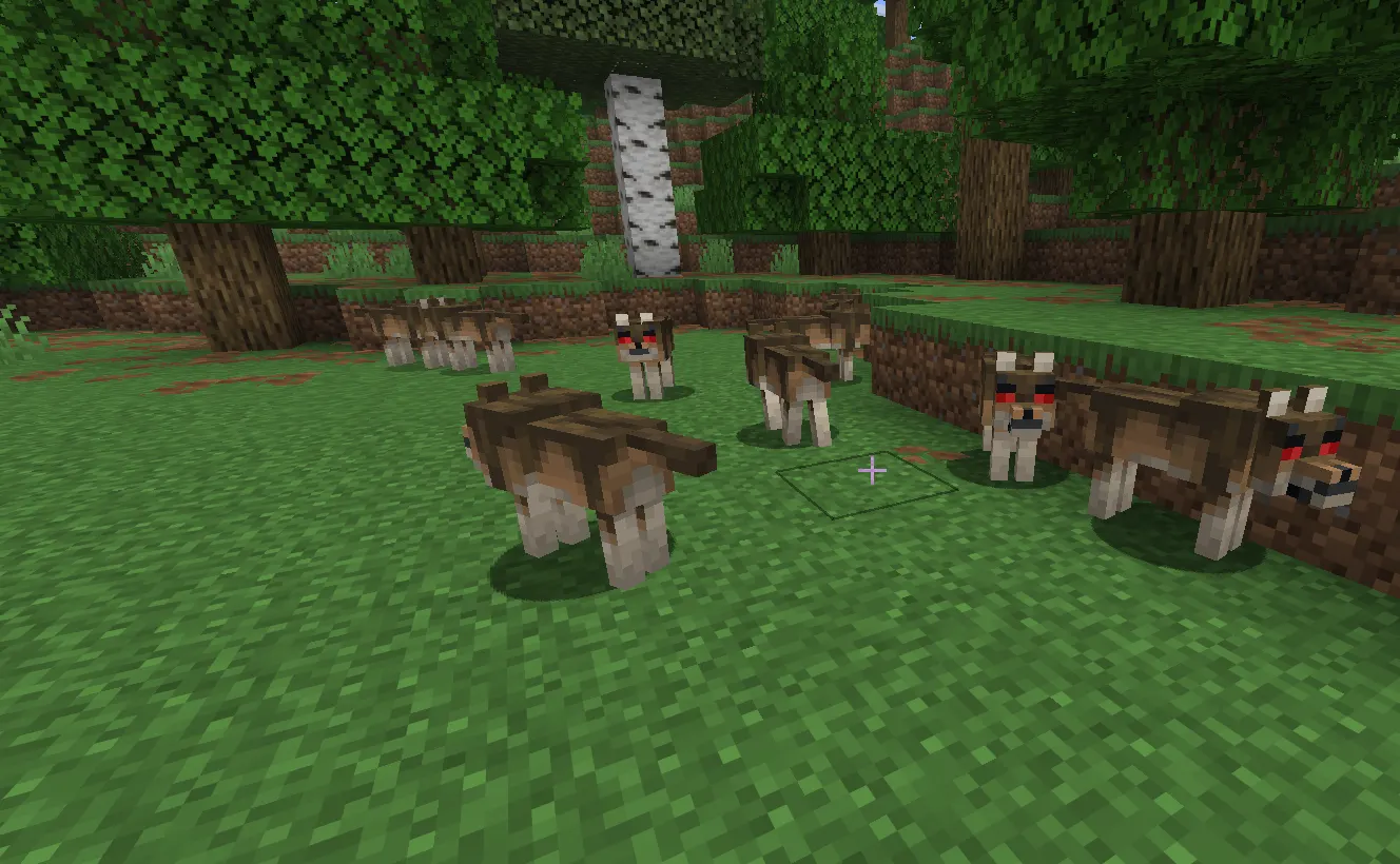  Wolves spawning in the Minecraft taiga biome and taming example