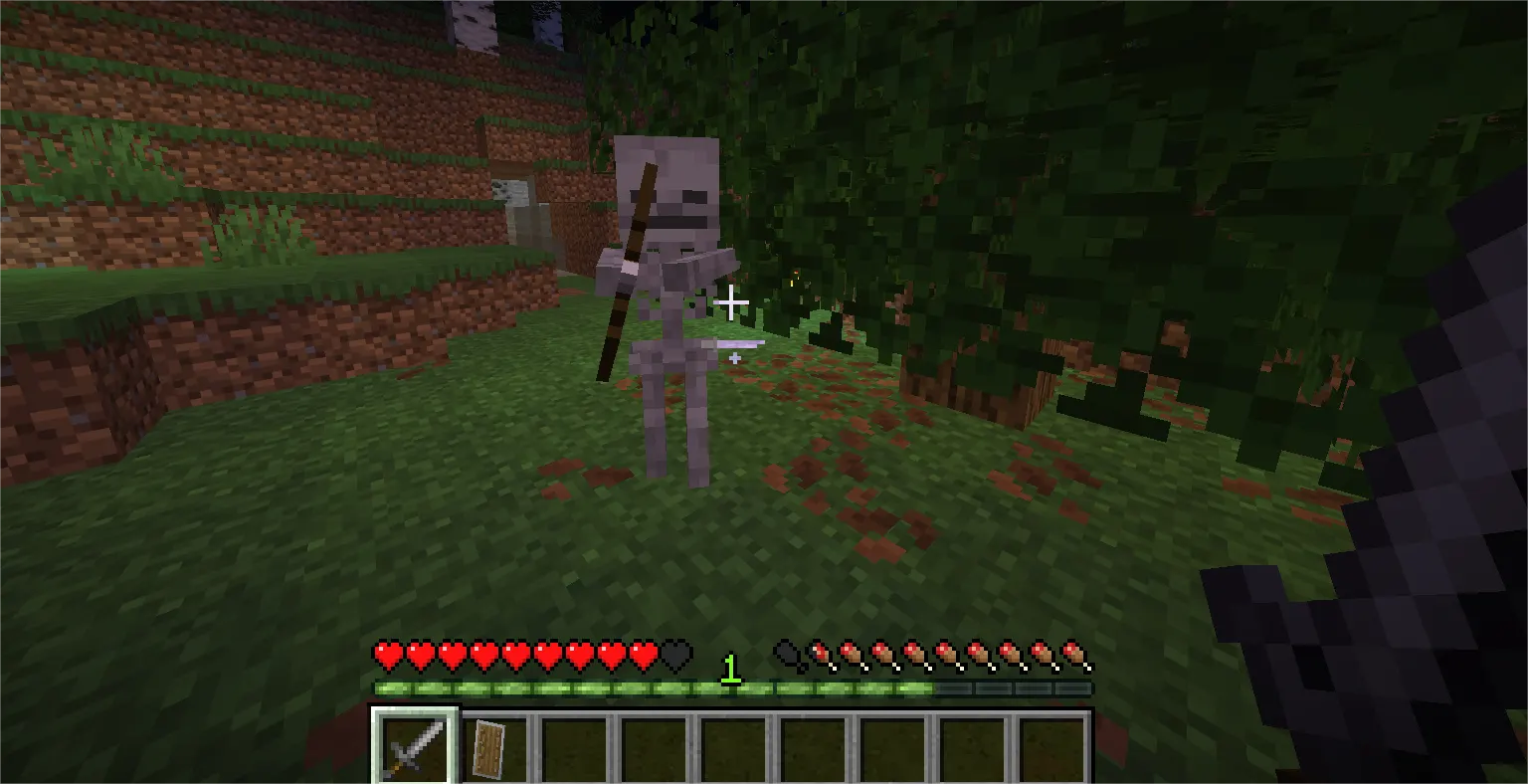 Player attacking skeleton with sword at close range in Minecraft