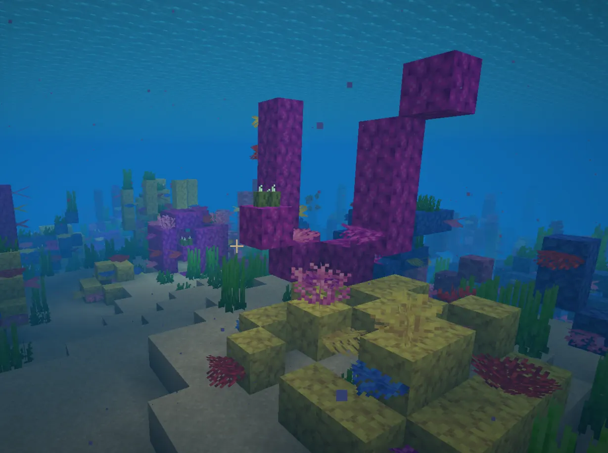 Minecraft warm ocean biome with coral reef and tropical fish
