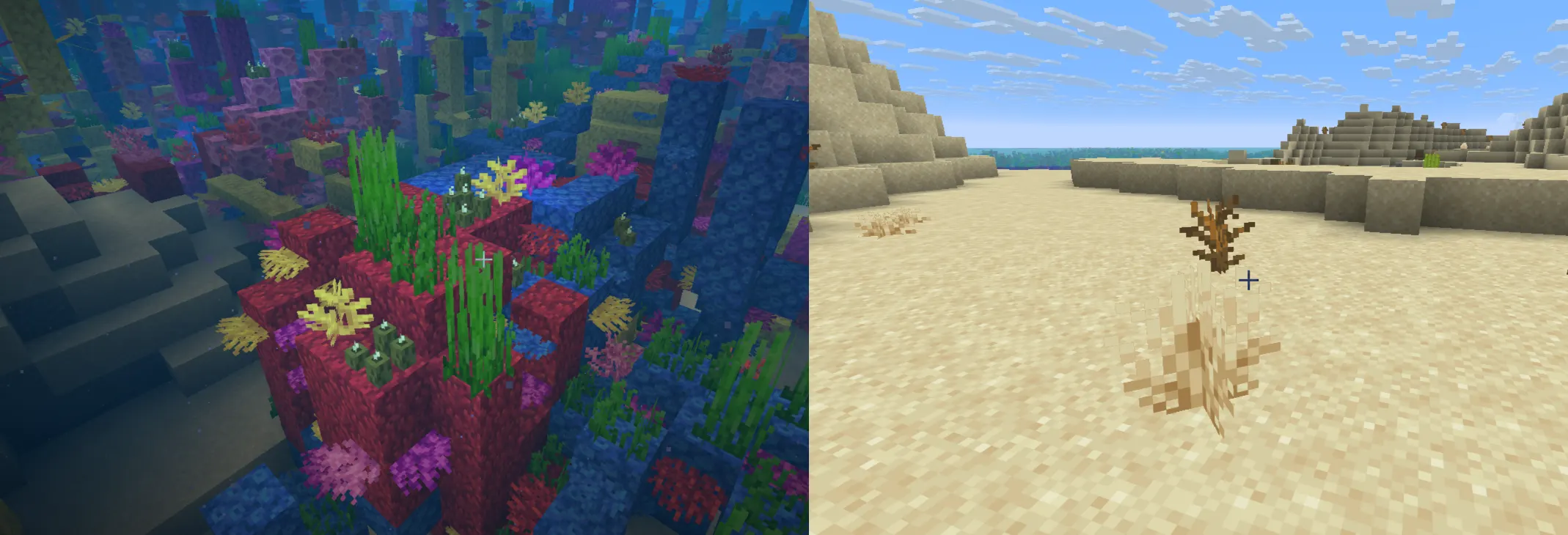 Live vs dead coral in Minecraft, showing water requirement