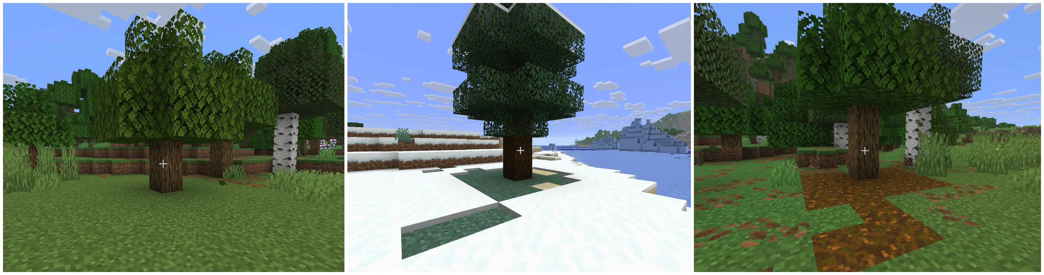  Different taiga biome variants in Minecraft, including snowy and old-growth taiga