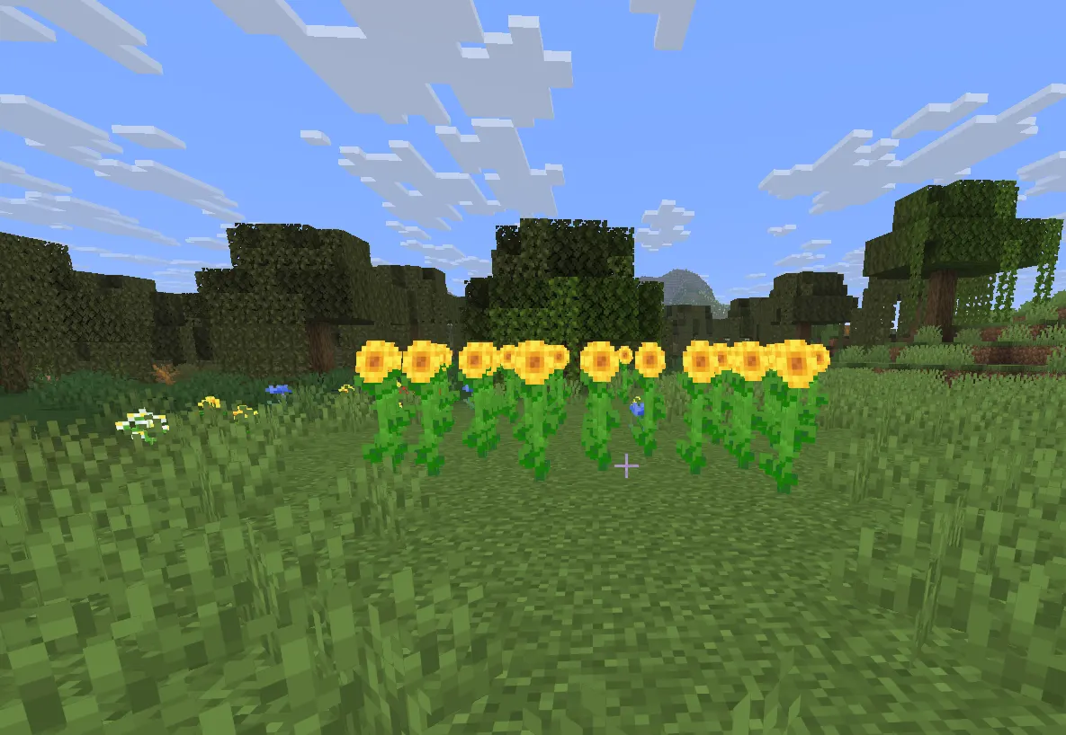 sunflower plains biome Minecraft rare variant