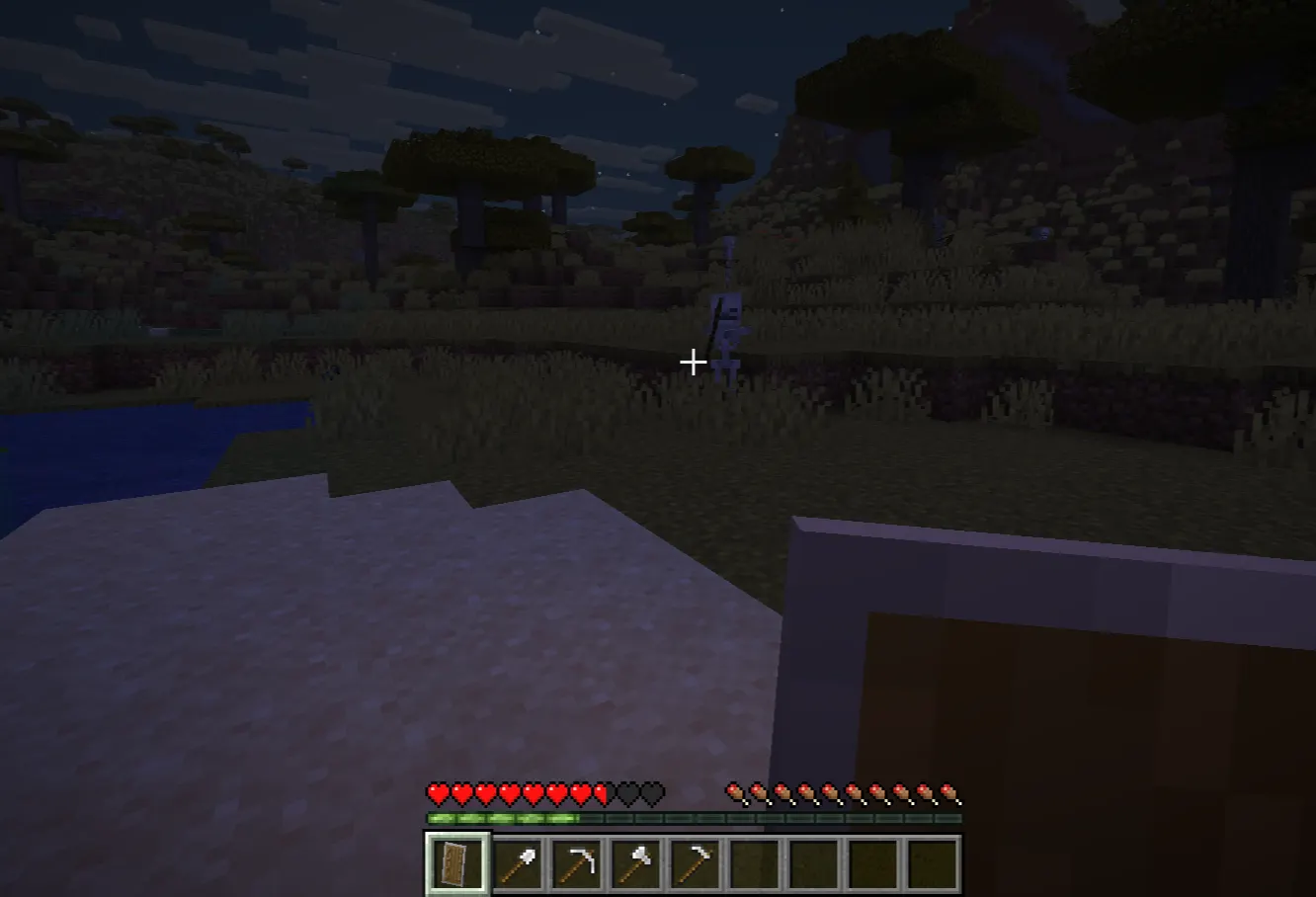 Minecraft shield blocking a skeleton, iron tools, early game