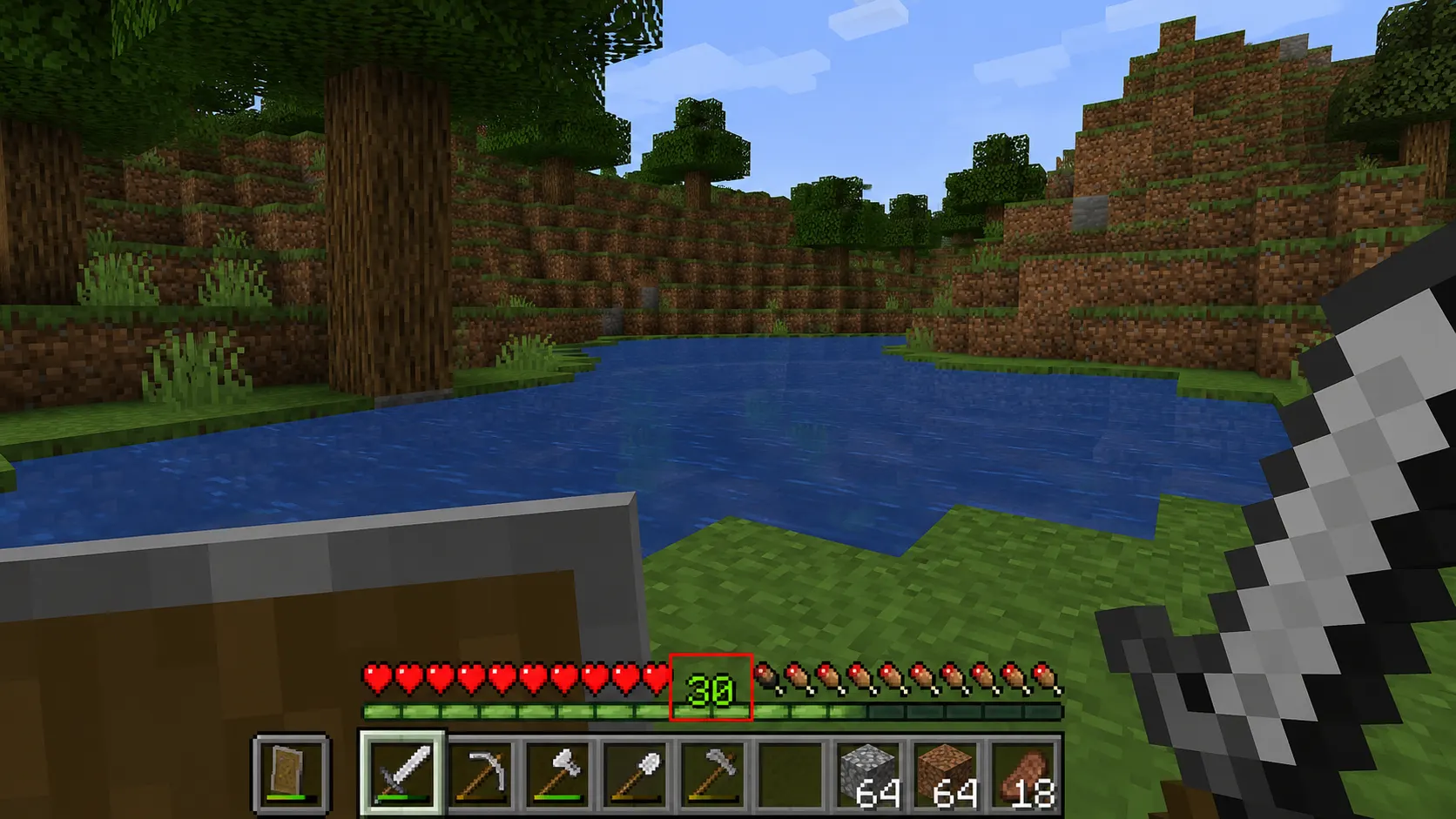 Minecraft player reaching level 30 experience