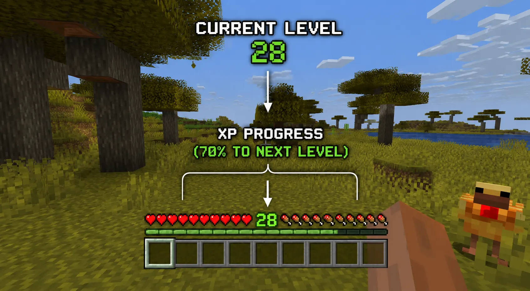 Minecraft XP bar and level display explained