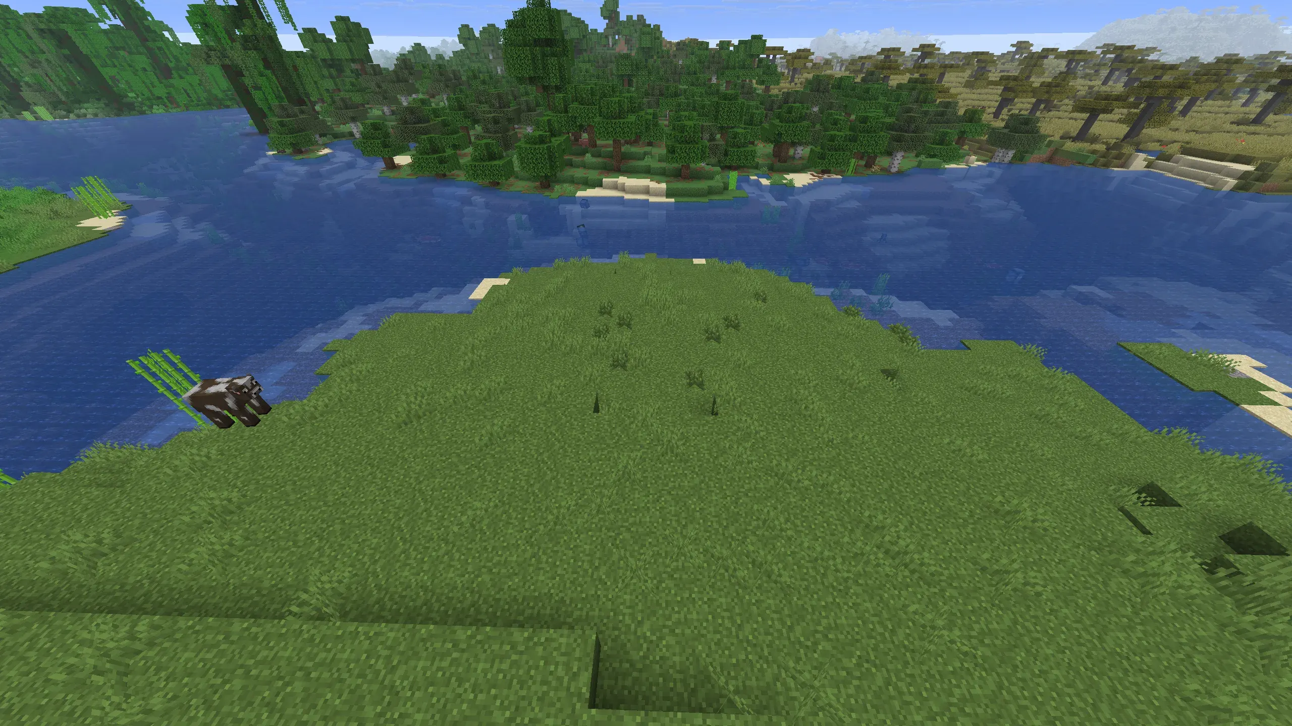 "Overhead landscape view of a lush Minecraft river biome with dense forests, a small grassy peninsula, and a cow standing near the water's edge."
