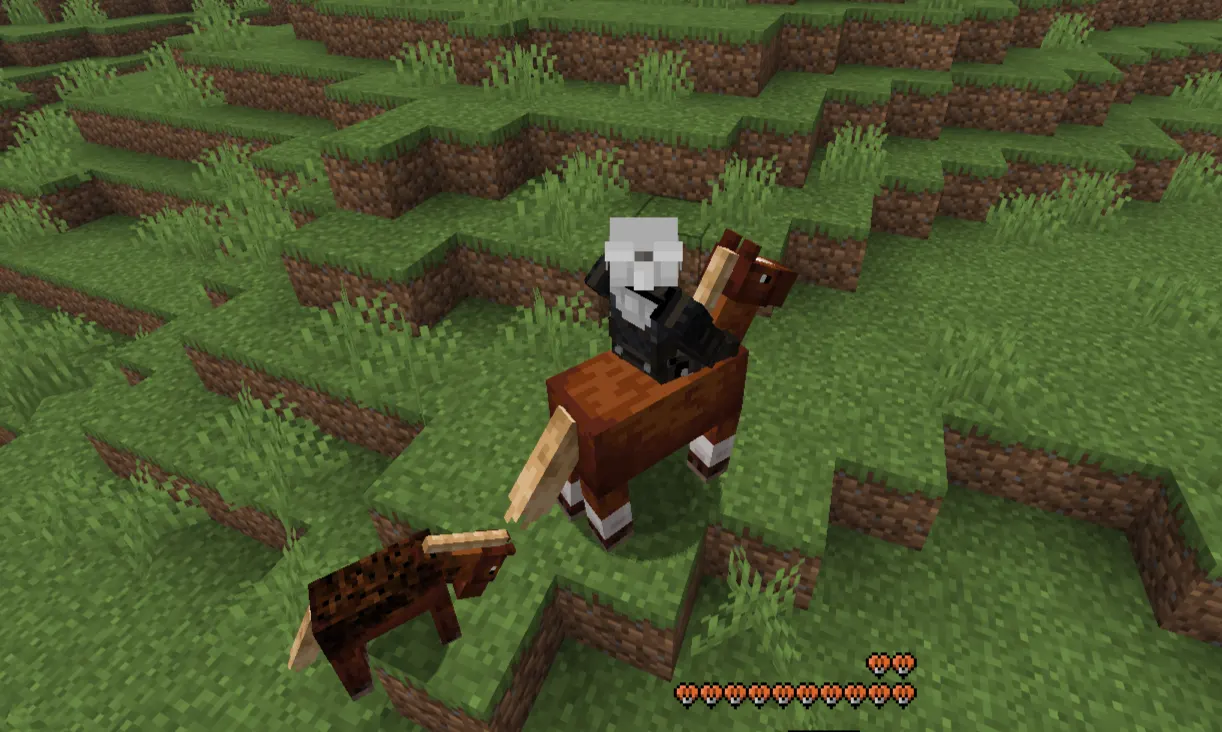 player riding a horse in the plains biome Minecraft