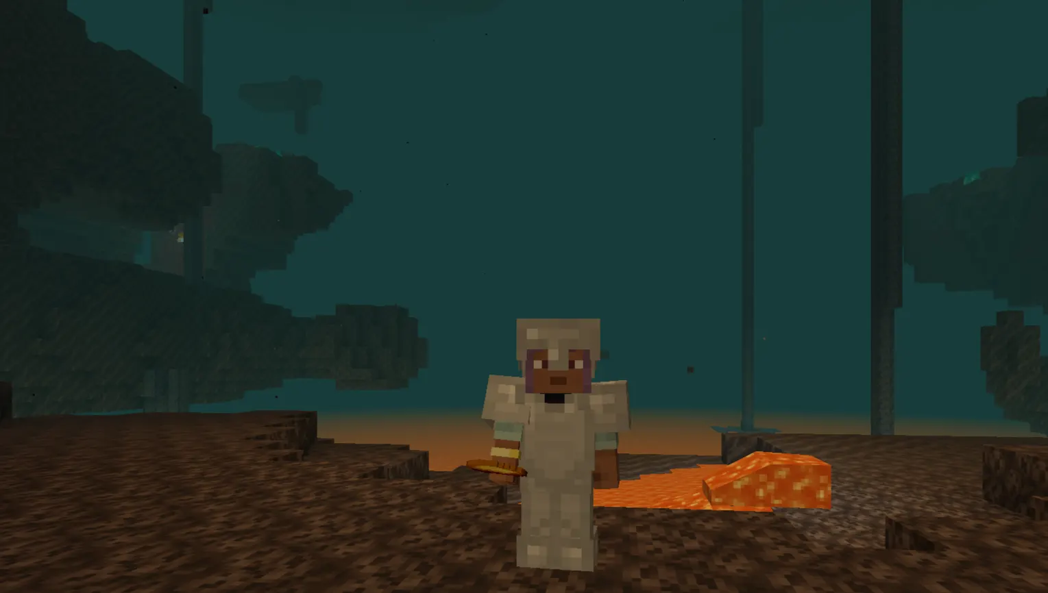 Minecraft coordinates enabled while searching for a Nether Fortress