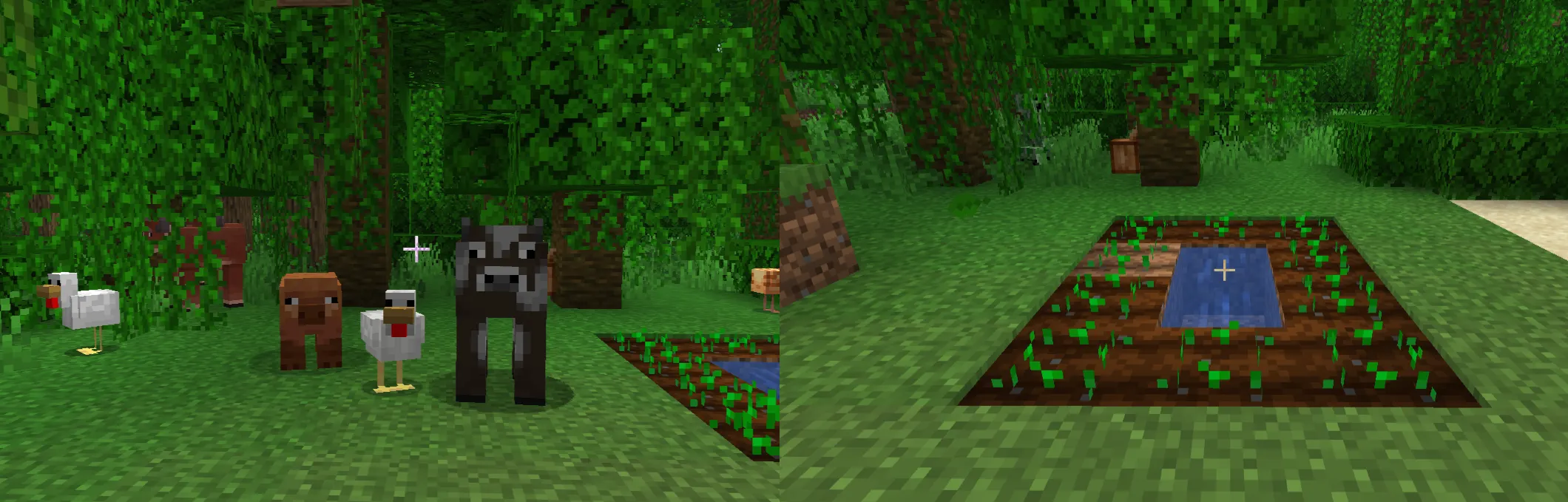 Best beginner food sources in Minecraft including animals and wheat farm