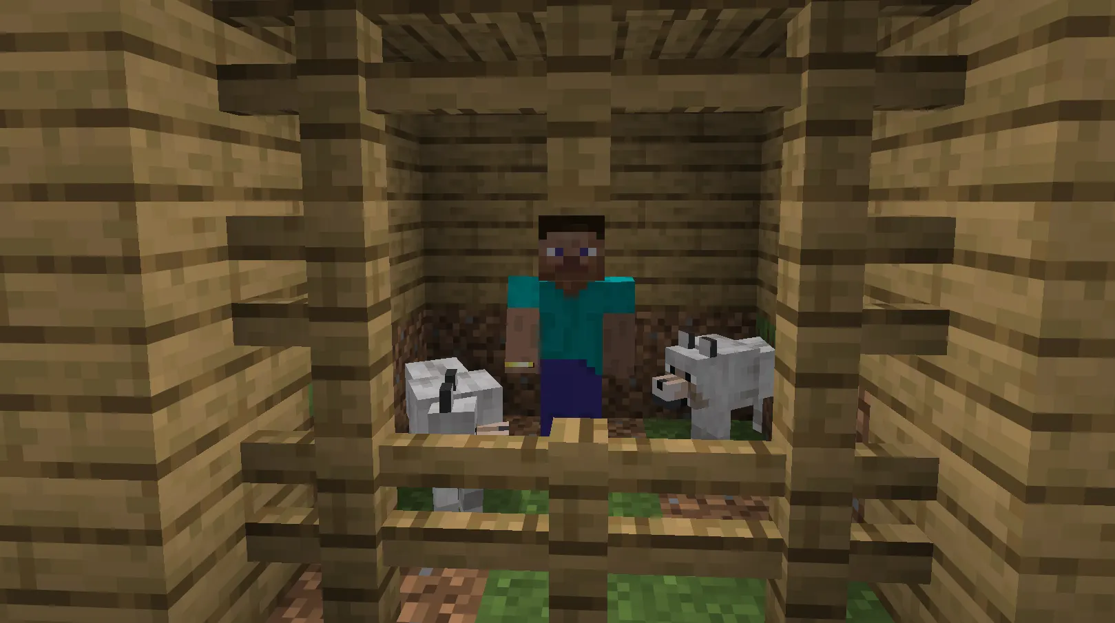 Player using a Golden Dandelion on a baby wolf in Minecraft