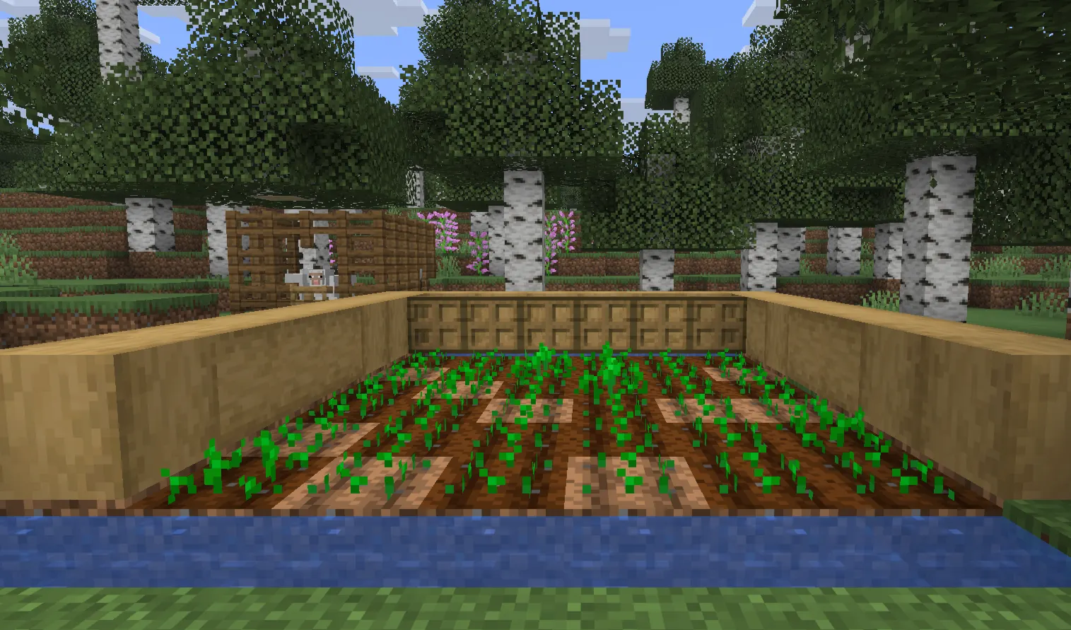 Starter food farms in Minecraft surviva