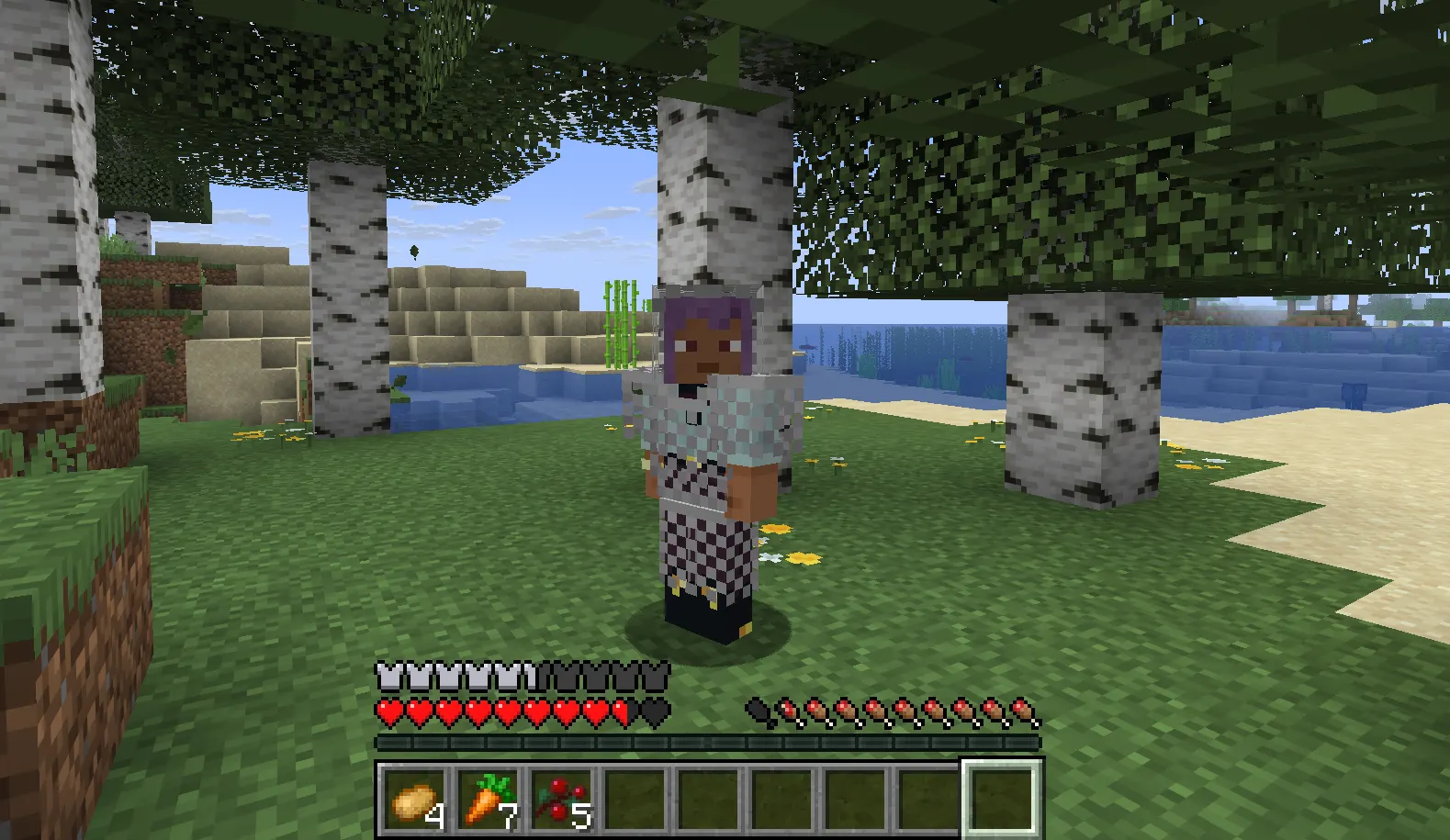 Minecraft hunger bar after eating high saturation food