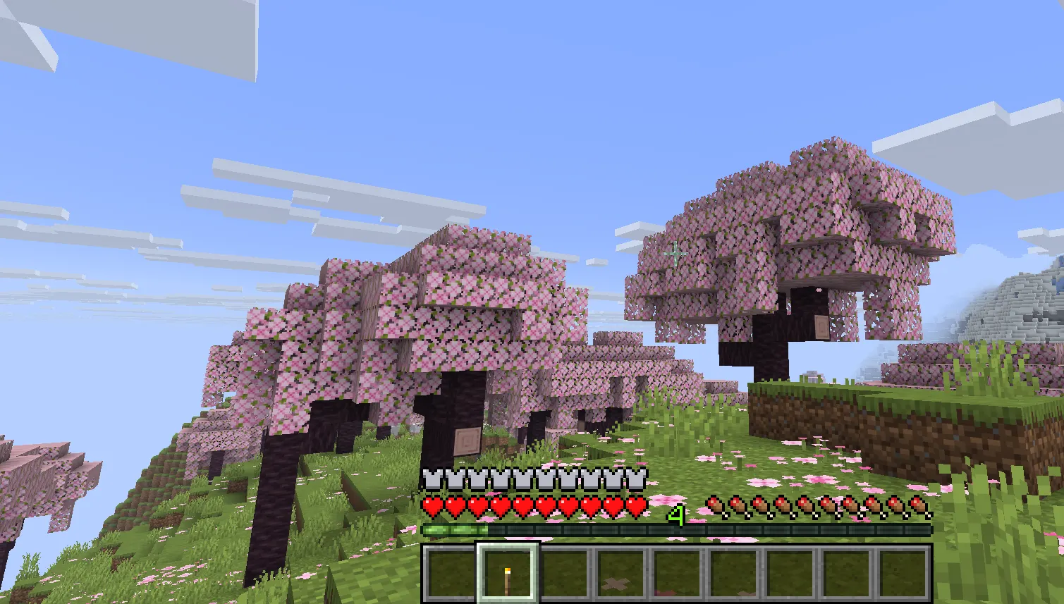 Finding a Cherry Grove biome by exploring mountain foothills
