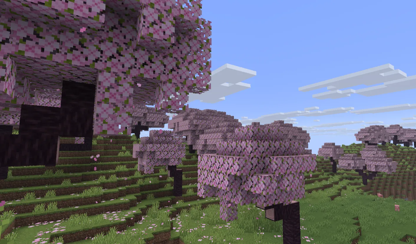 Cherry Grove biome generating beside Plains biome in Minecraft