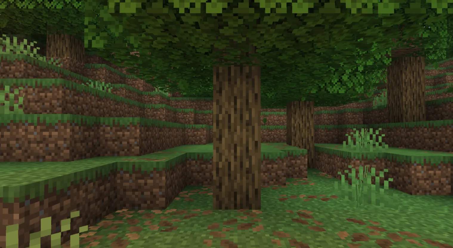 Large jungle tree with cocoa pods, vines, and jungle wood in Minecraft