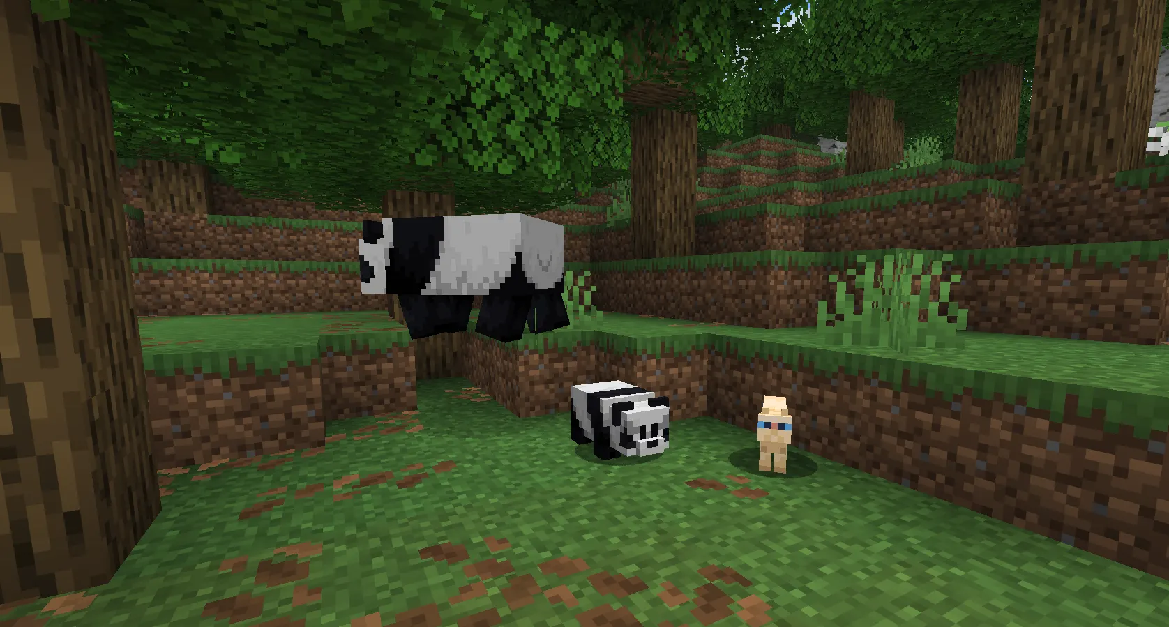 Parrot, ocelot, and panda in the Jungle biome in Minecraft