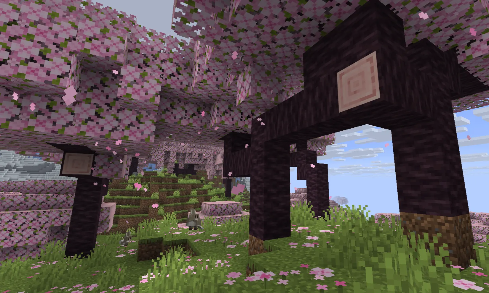 Cherry trees growing naturally in a Cherry Grove biome