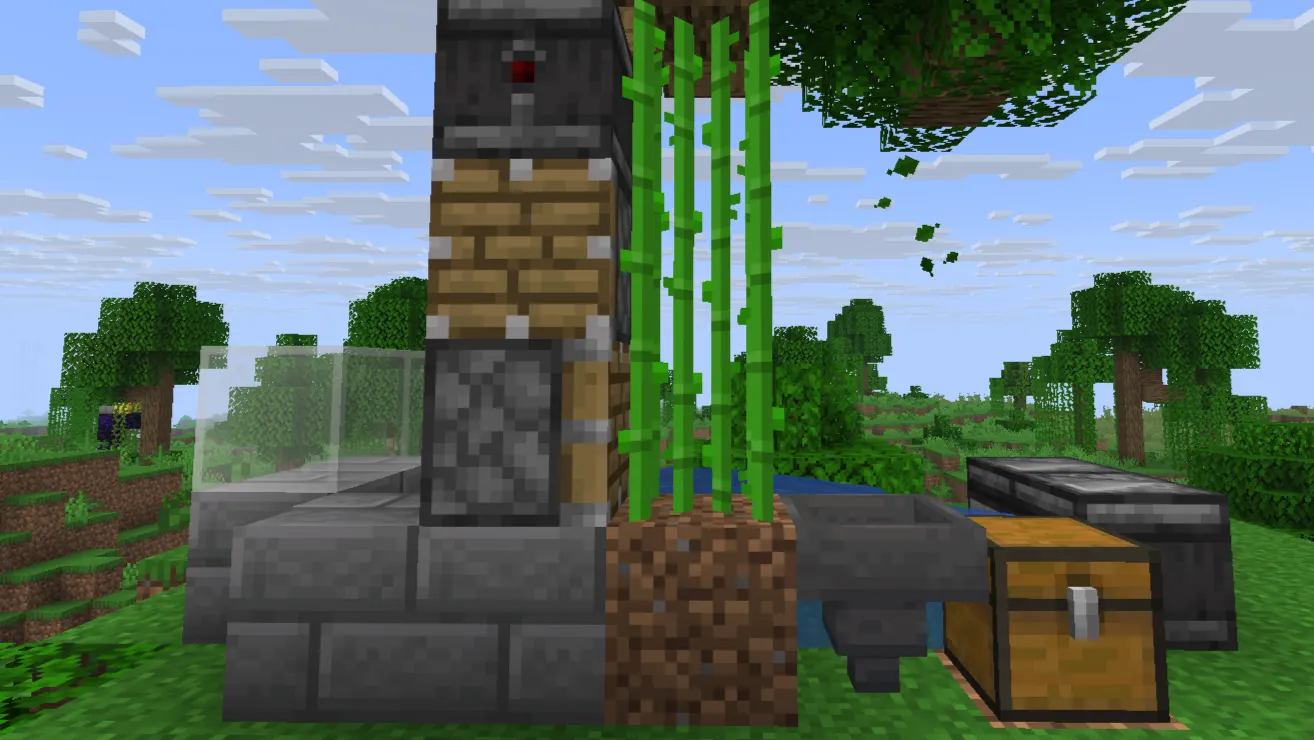  Observer and piston placement for an automatic sugarcane farm in Minecraft