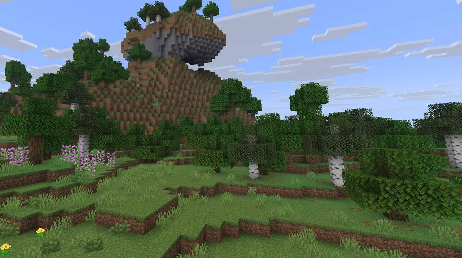 Biome border between sparse Plains terrain and a dense oak forest used as a nearby wood source.