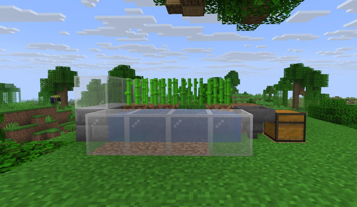 Water channel carrying harvested sugarcane into a hopper and chest in Minecraft