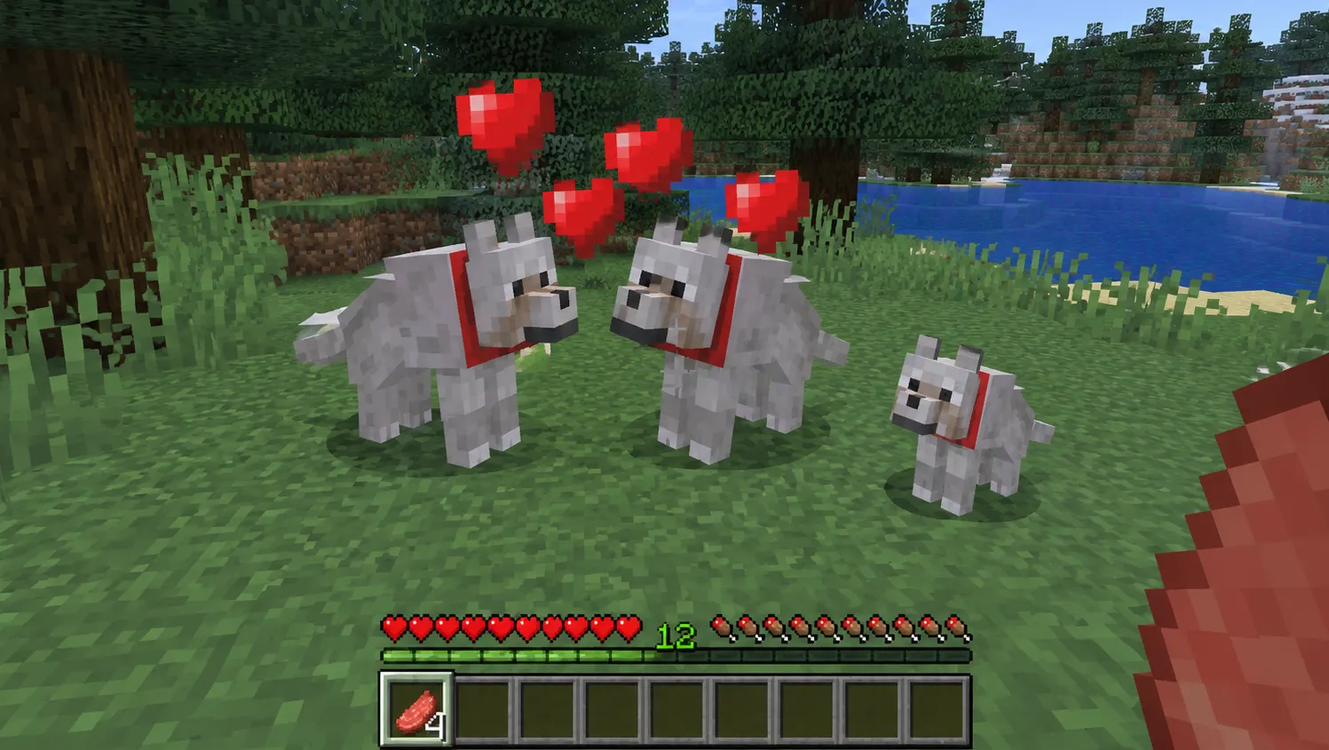  Two tamed Minecraft wolves breeding with hearts and a wolf puppy nearby