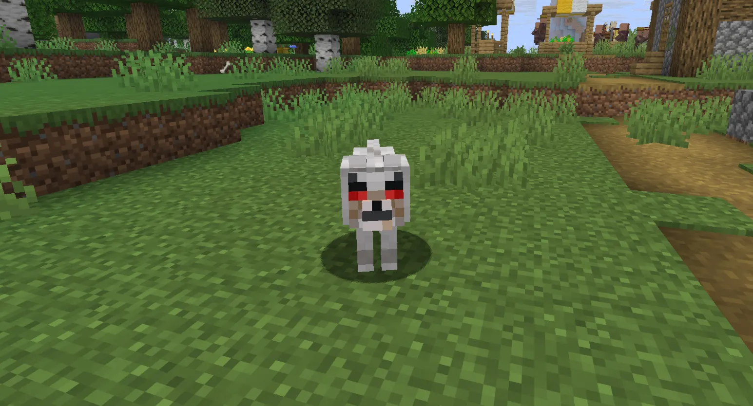  Minecraft player finding a wild wolf in a taiga biome while holding a bone