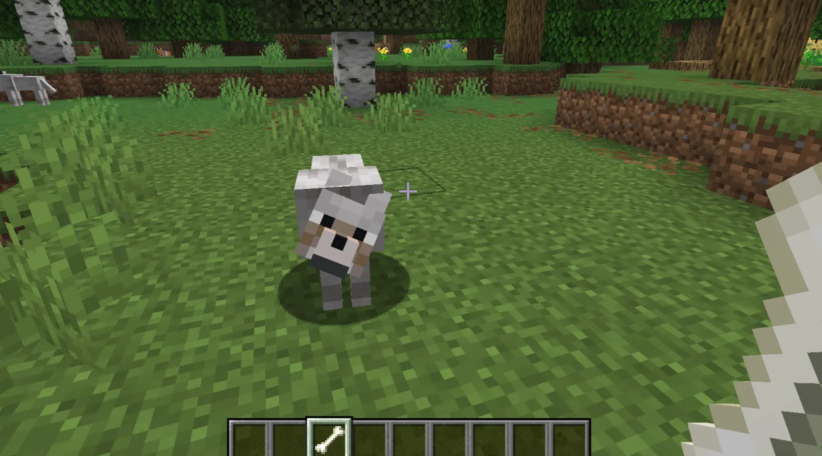  Minecraft player taming a wild wolf with a bone and heart particles