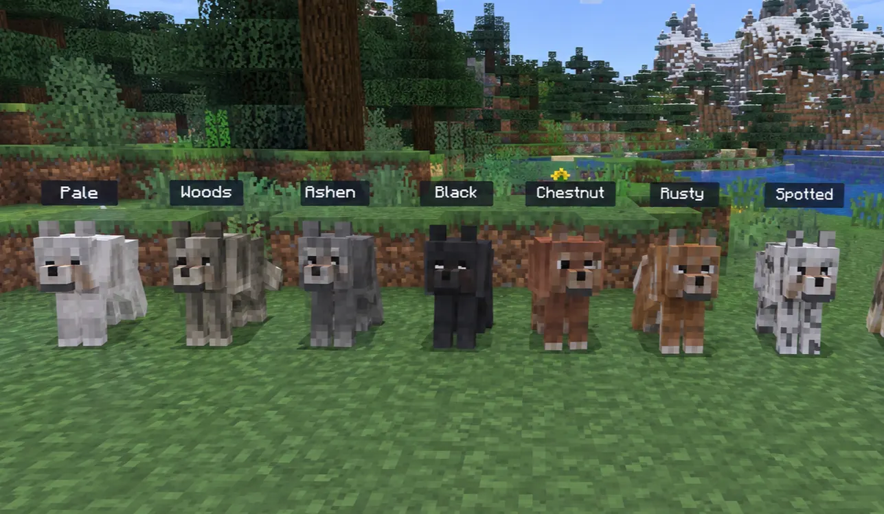  All nine Minecraft wolf variants including pale, woods, ashen, black, chestnut, rusty, spotted, striped, and snowy wolves